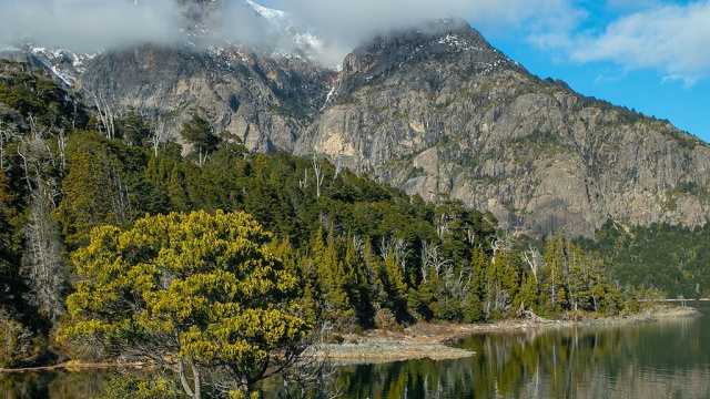 Cerro López