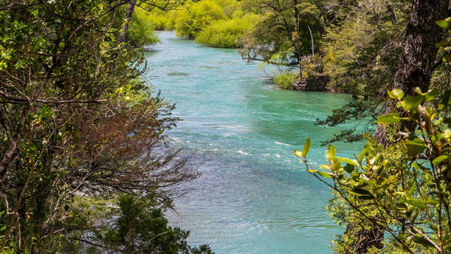 Río Manso