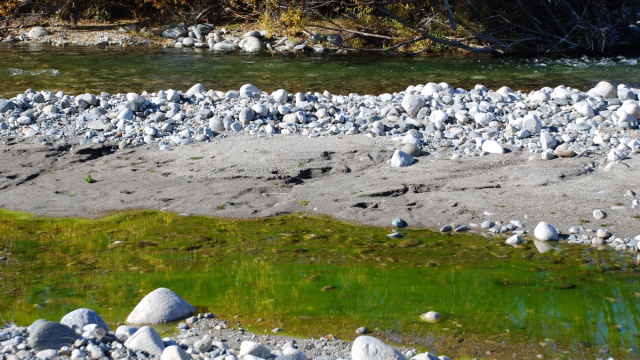River Cuyin Manzano