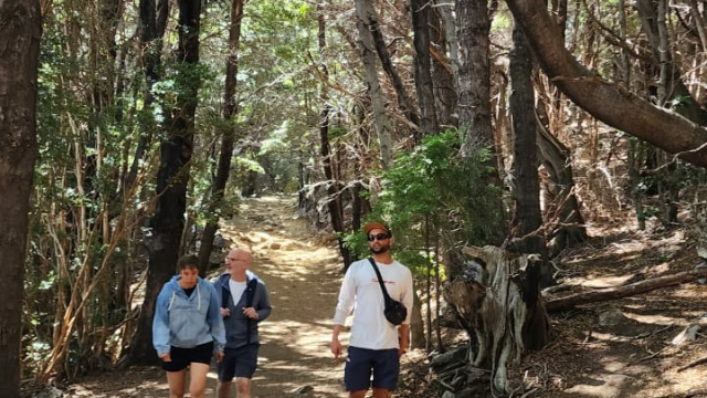Trekking Llao Llao